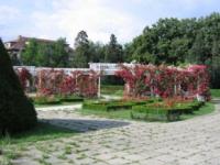 Imagine atasata: parcul rozelor(2).jpg